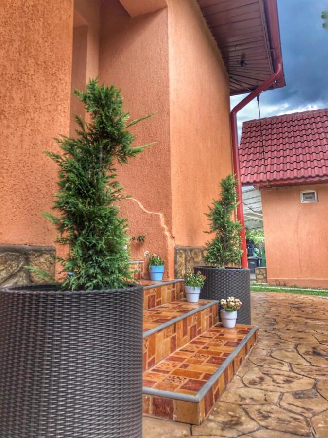 Casa Andra Hotell Baia de Fier Exteriör bild